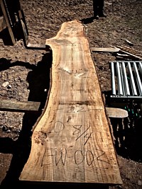 English Walnut